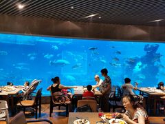 -海棠湾洲际-涛·海底餐厅·美人鱼·自助餐·海底隧道