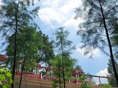 -云溪植物园