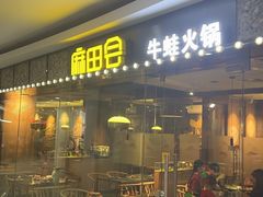 -麻田会 ·鲜活现烹·牛蛙火锅(珠江新城维家思广场店)