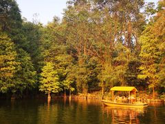 -深圳仙湖植物园-停车场