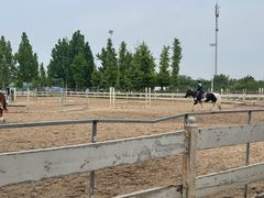 -北京群众马术培训基地