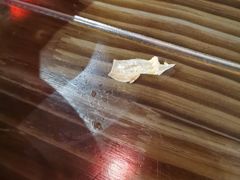 -张氏宽窄巷成都名小吃(华发新天地店)