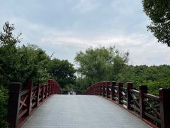 -巡塘古镇