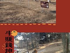 -沈阳森林动物园