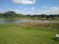 -福建鲤鱼洲酒店