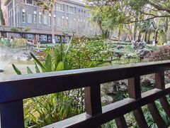 -墨池公园