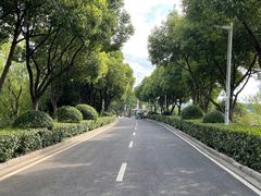 -羊山湖公园