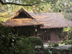 -中国茶叶博物馆(双峰馆区)