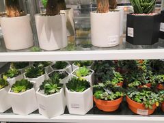 -KKV(重庆东原悦荟主力店)