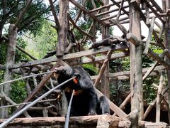 -长鹿旅游休博园