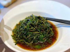 枸杞苗-名豪品鲜荟(云亭店)