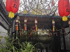 -慢丽江·云南野生菌土鸡锅(付家庄店)