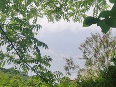 -桃花岭景区