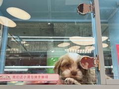 -FAELING PETS美天灵宠物(合生汇店)