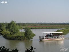 -大湾区中央湿地公园