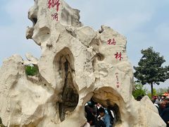 -曹州牡丹园