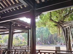 -荔湾湖公园