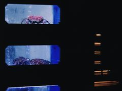 -澜棠海鲜(余姚阳明古镇店)