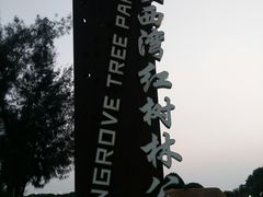 -宝安西湾红树林湿地公园