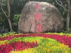 -野狸岛