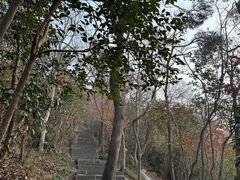 -紫金山山顶公园