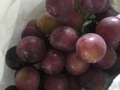 -马陆小张葡萄园农家乐