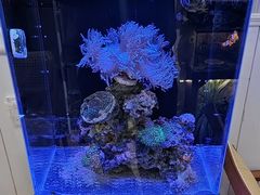 -Rabbit Cafe私房西餐甜点咖啡(栖霞路店)