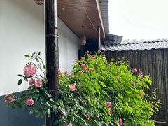 -花间酒庭院餐厅(谷山店)