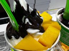 -Salud撒露欧洲冻酸奶(蓝色港湾店)