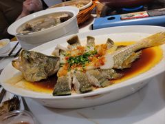 -大鸽饭(马王堆店)