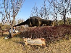 -北京野生动物园
