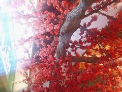 -满盛家宴·烤鸭·海鲜天津菜(河北路总店)