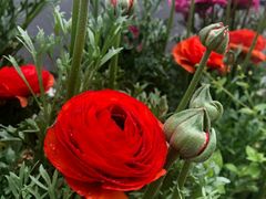 -衡山路(地铁站)