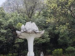 -柳州白莲洞洞穴科学博物馆