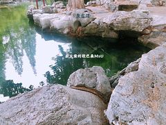 -趵突泉景区