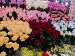 -越秀西湖花市(广州城市广场花卉店)