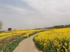 -三圣花乡旅游区