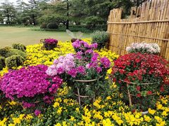 -上海大学(宝山校区)