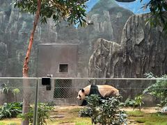 -香港海洋公园