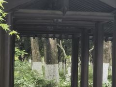 -范蠡湖公园