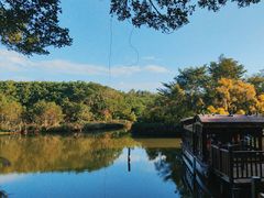 -大湾区中央湿地公园
