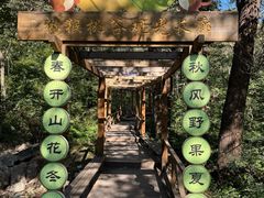 -大岭沟猕猴桃谷风景区