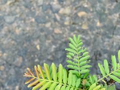 -东天目山风景区