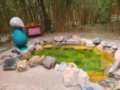 -森波拉火山温泉