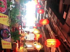 -谭鸭血老火锅(万象九宜城店)