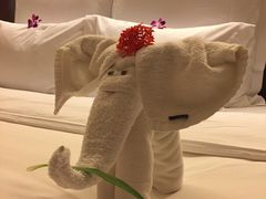 -三亚亚龙湾雅高铂尔曼别墅度假酒店