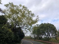 -宝界山林公园