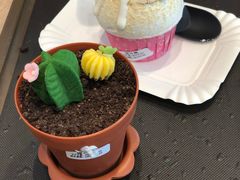 -85度C(深圳佳宁娜店)