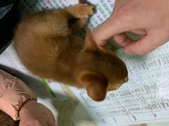 -百信宠物医院(东升街店)