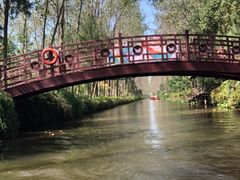 -合肥滨湖国家森林公园